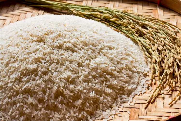 Conab fará leilões para estimular produção de arroz na próxima semana