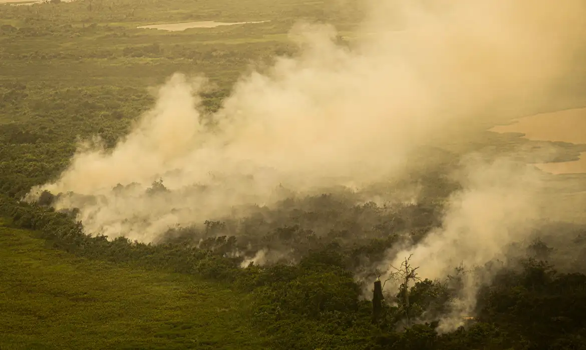 Pantanal em chamas: governo federal vai investir R$ 100 milhões