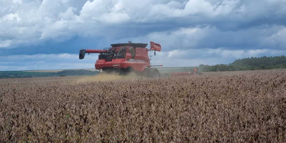 Mato Grosso aprova lei que impacta Moratória da Soja