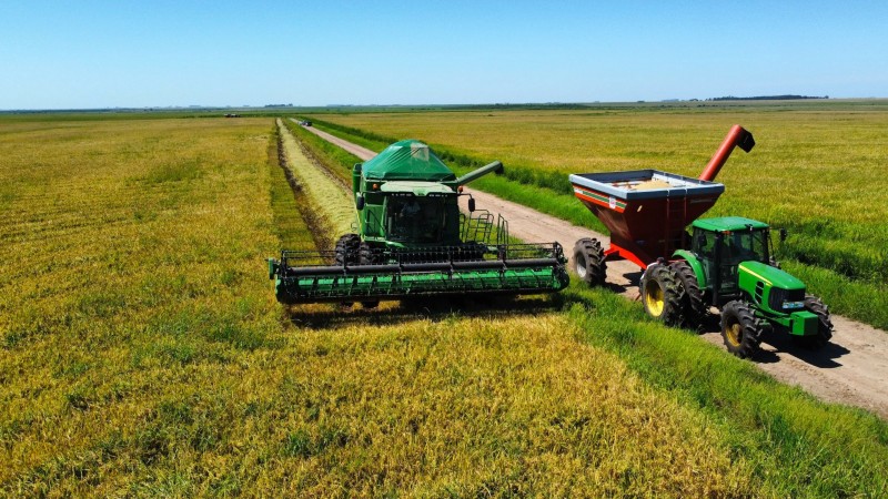 A produção de arroz no Rio Grande do Sul atingiu 7.162.674,9 toneladas. As enchentes no Estado resultaram na perda de 5,22% da área semeada.