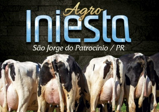 Acompanhe agora o Leilão Virtual Liquidação Total Agro Iniesta