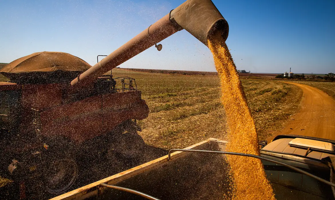 Soja, milho e arroz puxam safra recorde no Brasil