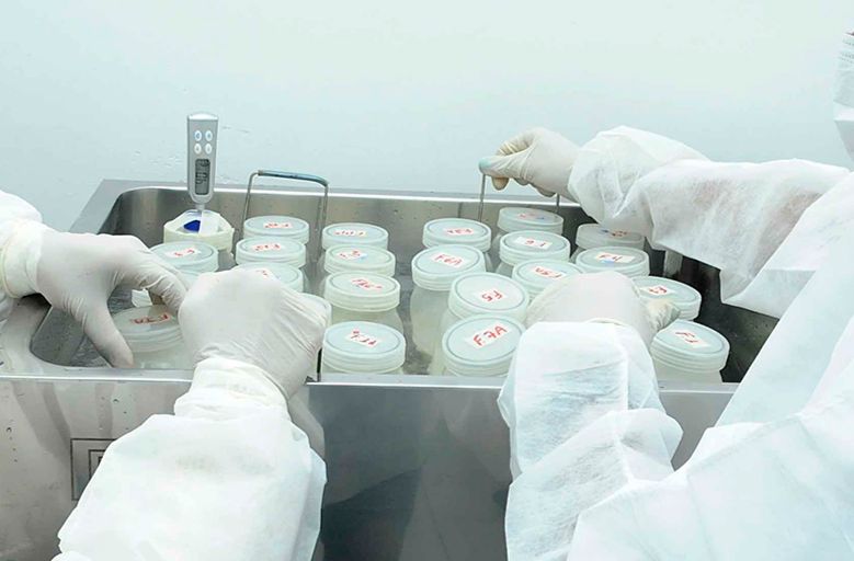 Planta criada em laboratório reproduz benefícios do leite materno