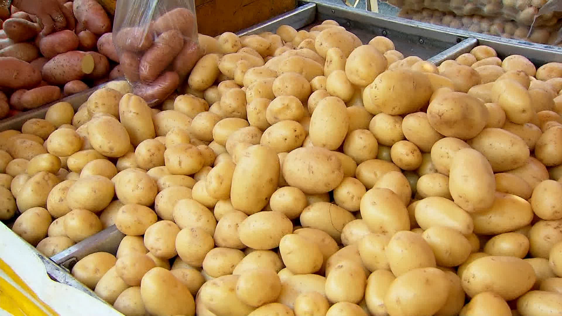 Entenda o que está por trás da alta do preço da batata