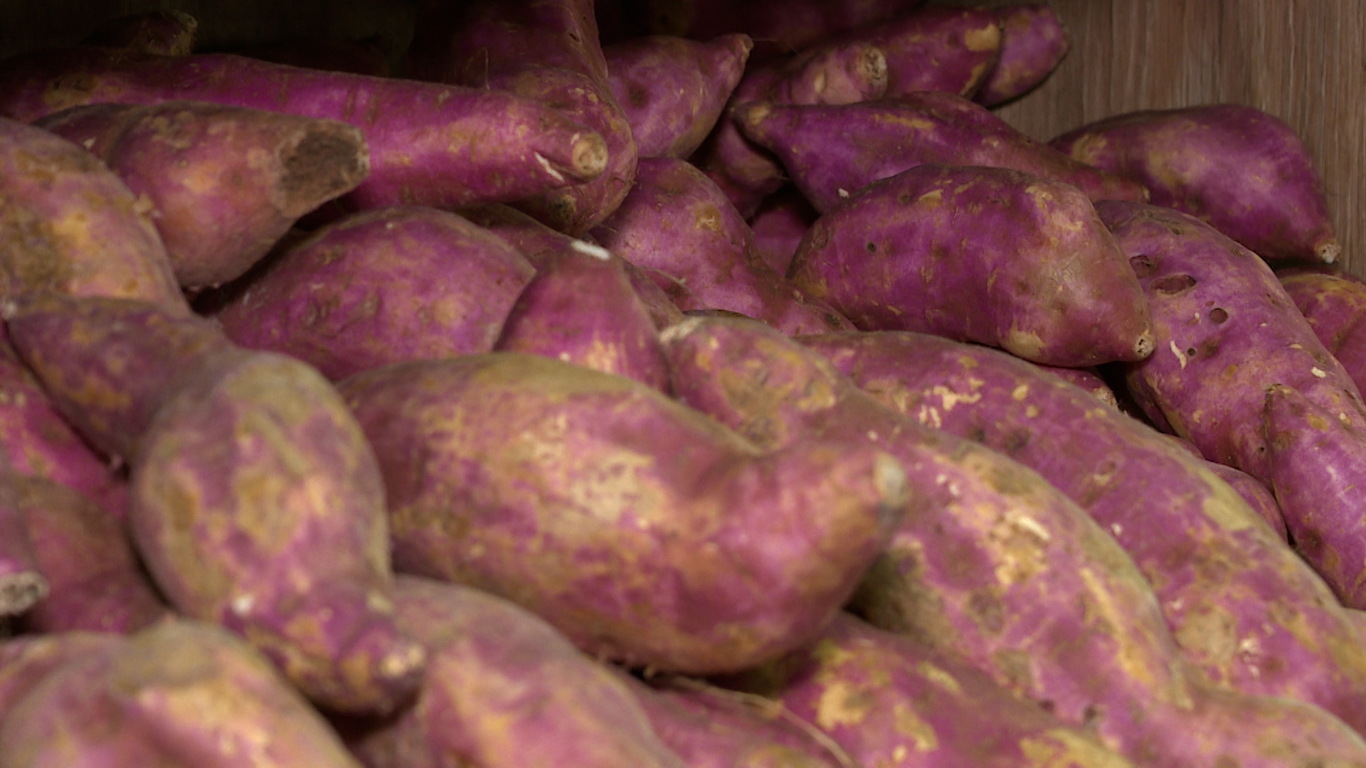 Batata-doce: conheça a super aliada da saúde