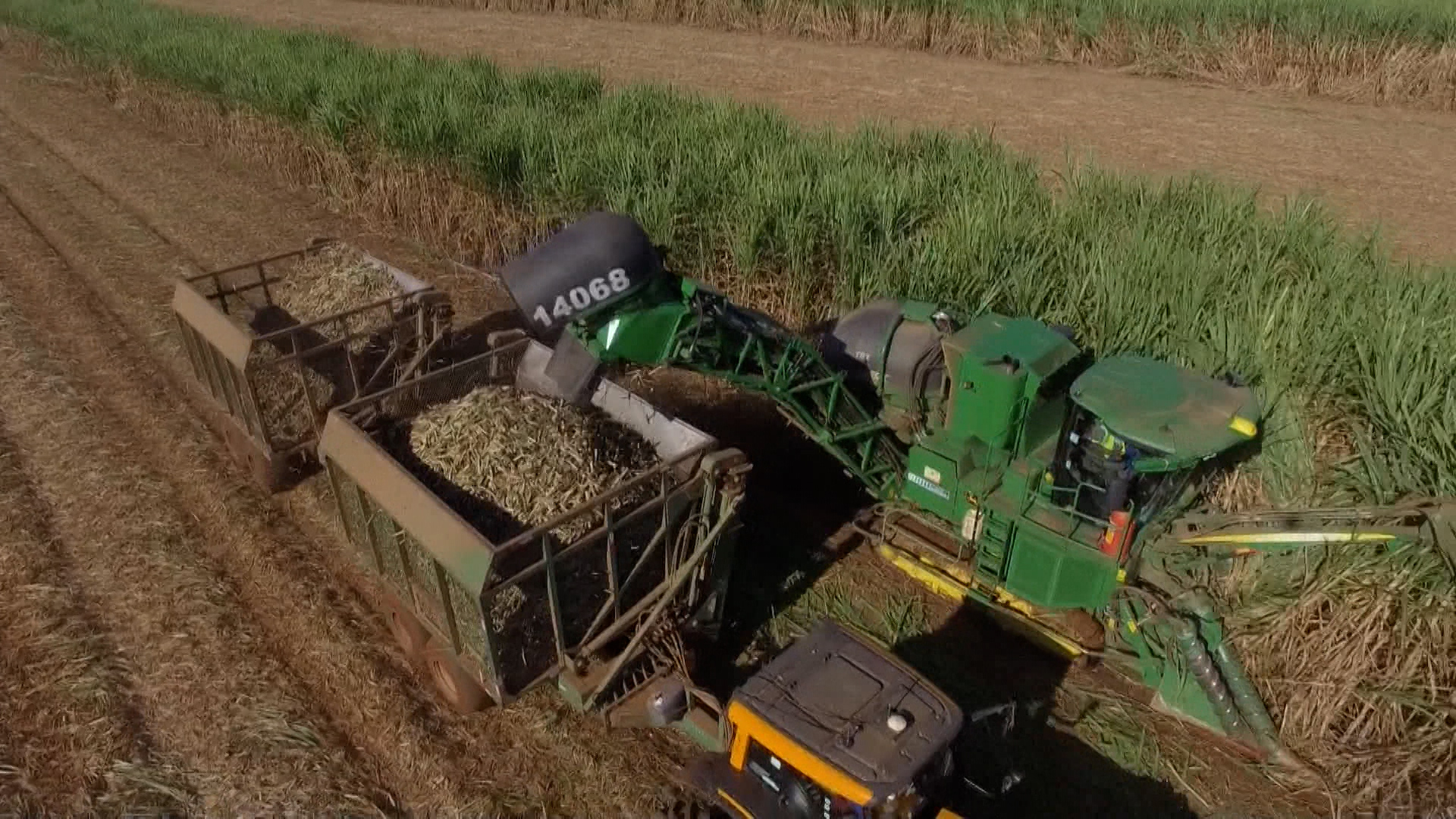 Trabalhadores do agronegócio: crescimento e desafios