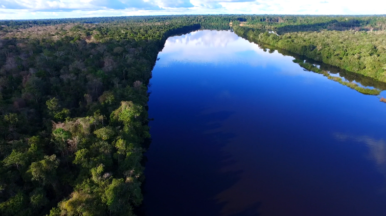 Brasil avança na transição energética e amplia soluções sustentáveis e hoje é Dia Nacional de Conscientização sobre as Mudanças Climáticas.
