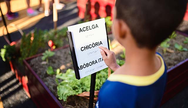 Hortas sensoriais acessíveis beneficiam estudantes de escolas municipais