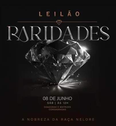 Acompanhe o Leilão Raridades Nelore