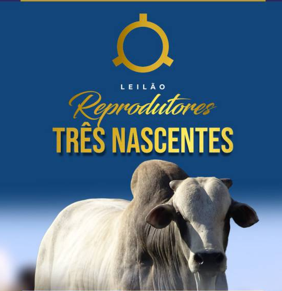 Acompanhe agora o Leilão Reprodutores Três Nascentes