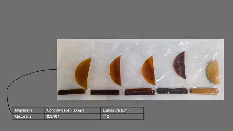 Universidade desenvolve tecnologia para capturar hidrogênio verde