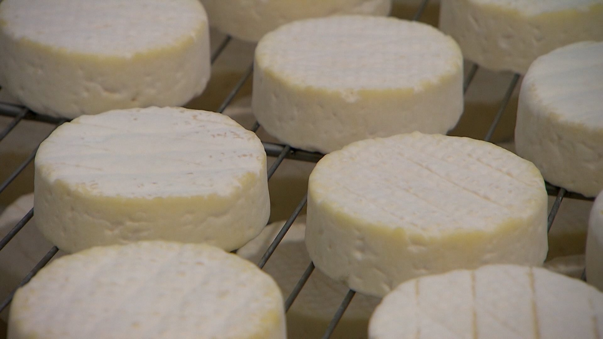 Queijo pode reduzir risco de demência, aponta estudo