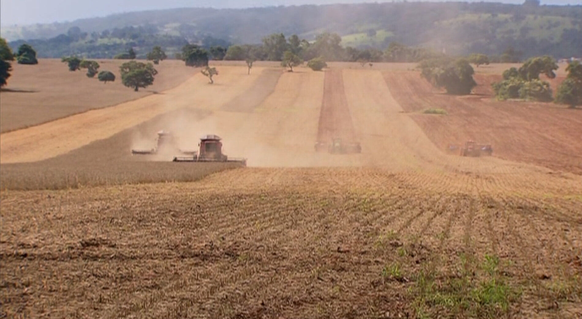 Eficiência redefine o lucro no agro brasileiro