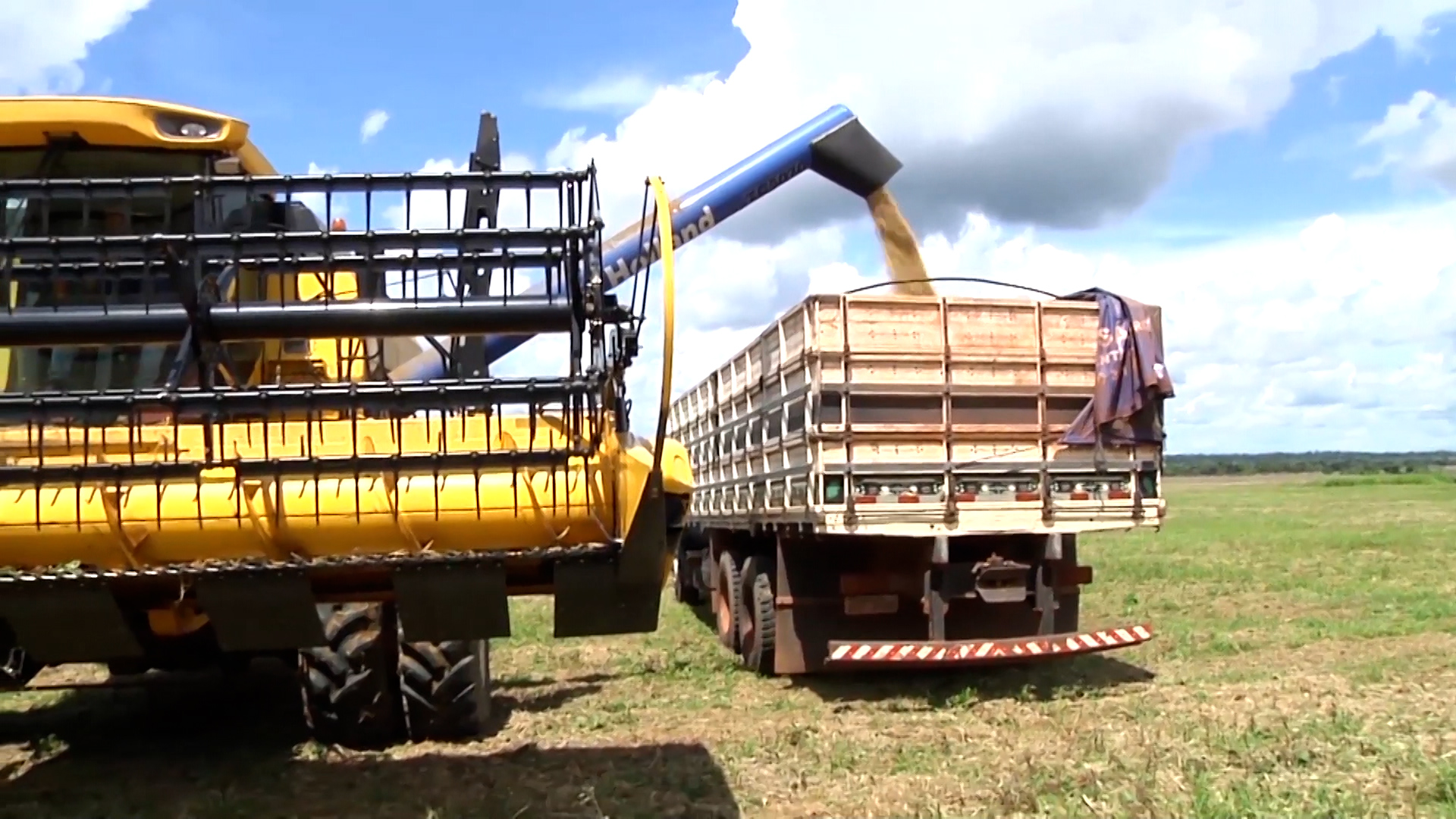 Produtividade leva Brasil a novo recorde de soja na safra 2025/26