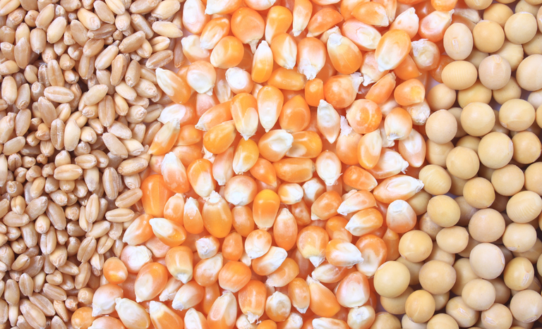 Governo atualiza preços mínimos para produtos agrícolas