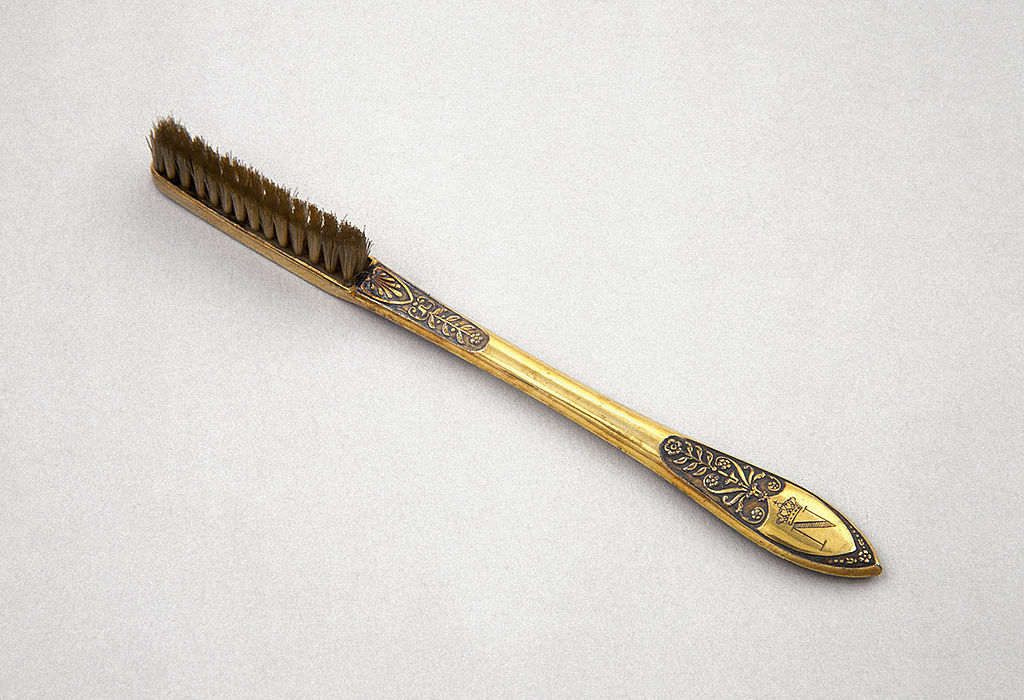 Você sabia? Pelo de porco deu origem a escova de dente