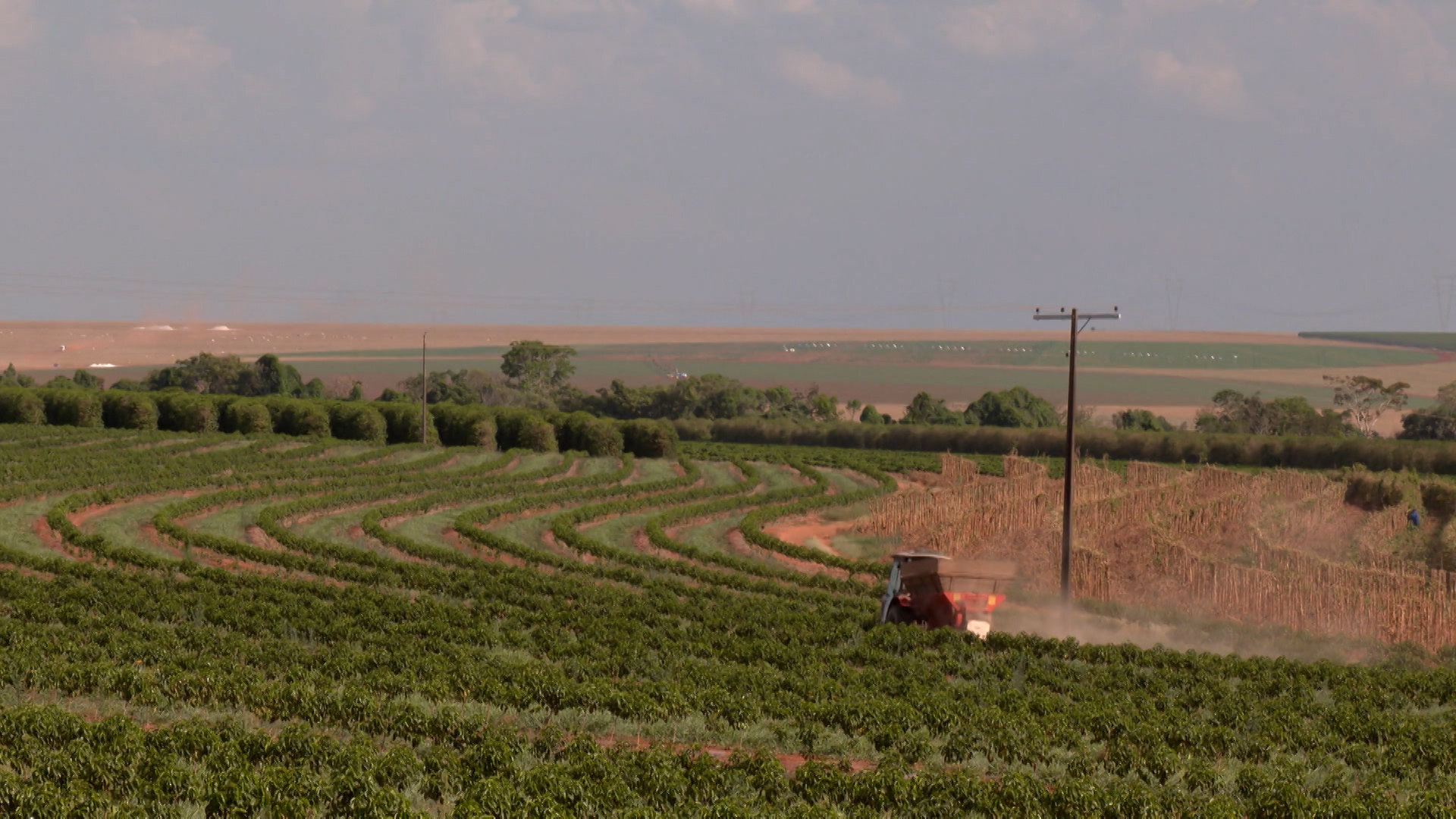 VBP agropecuário atinge R$ 1,4 trilhão em junho