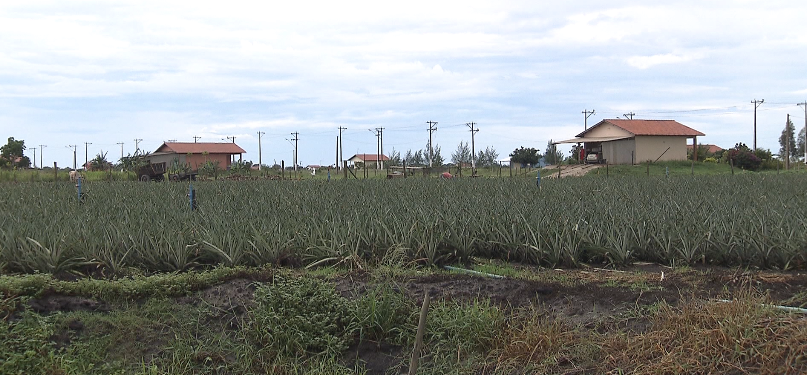 Agro Club Tecnológico – produtores e iniciativa privada se unem