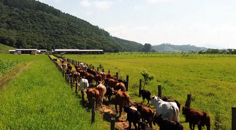 Agro brasileiro registra aumento de 8,3% nas exportações em Julho
