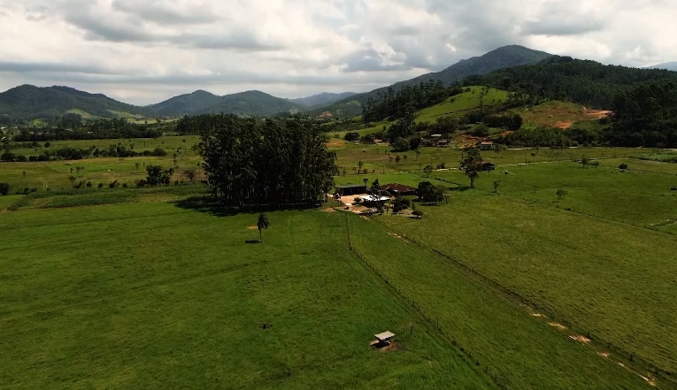 Dia do agricultor: conectividade rural é a transformação rumo ao futuro