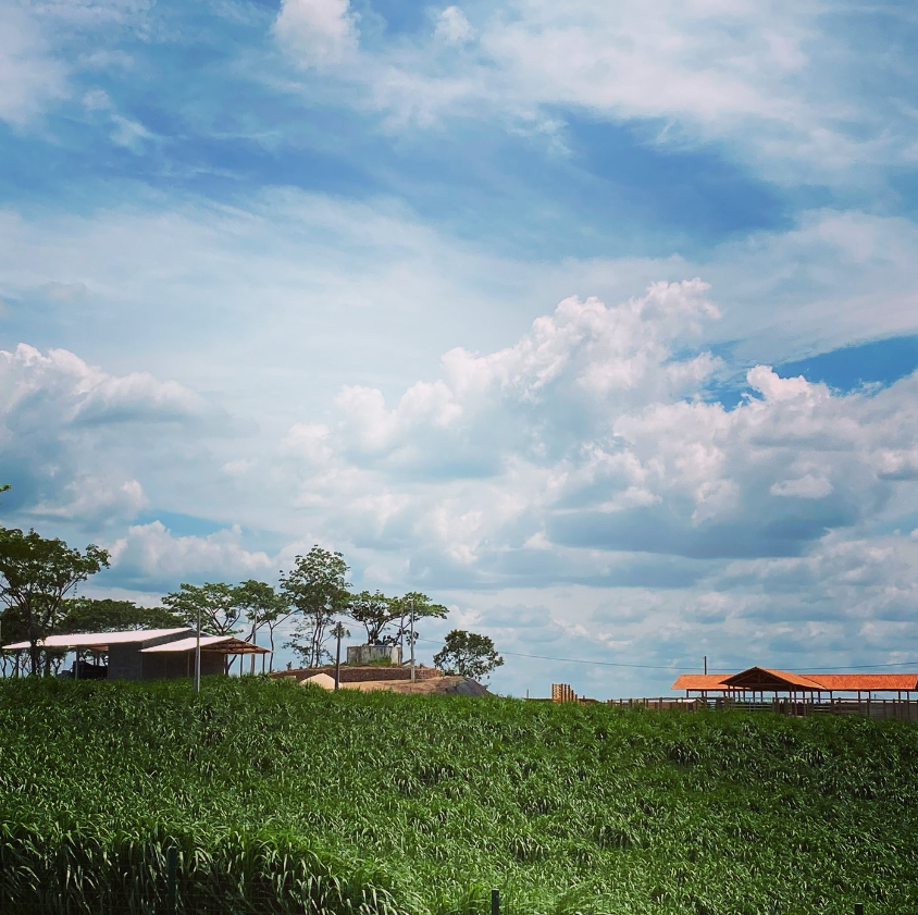 Fazenda África investe em agropecuária e desenvolvimento comunitário