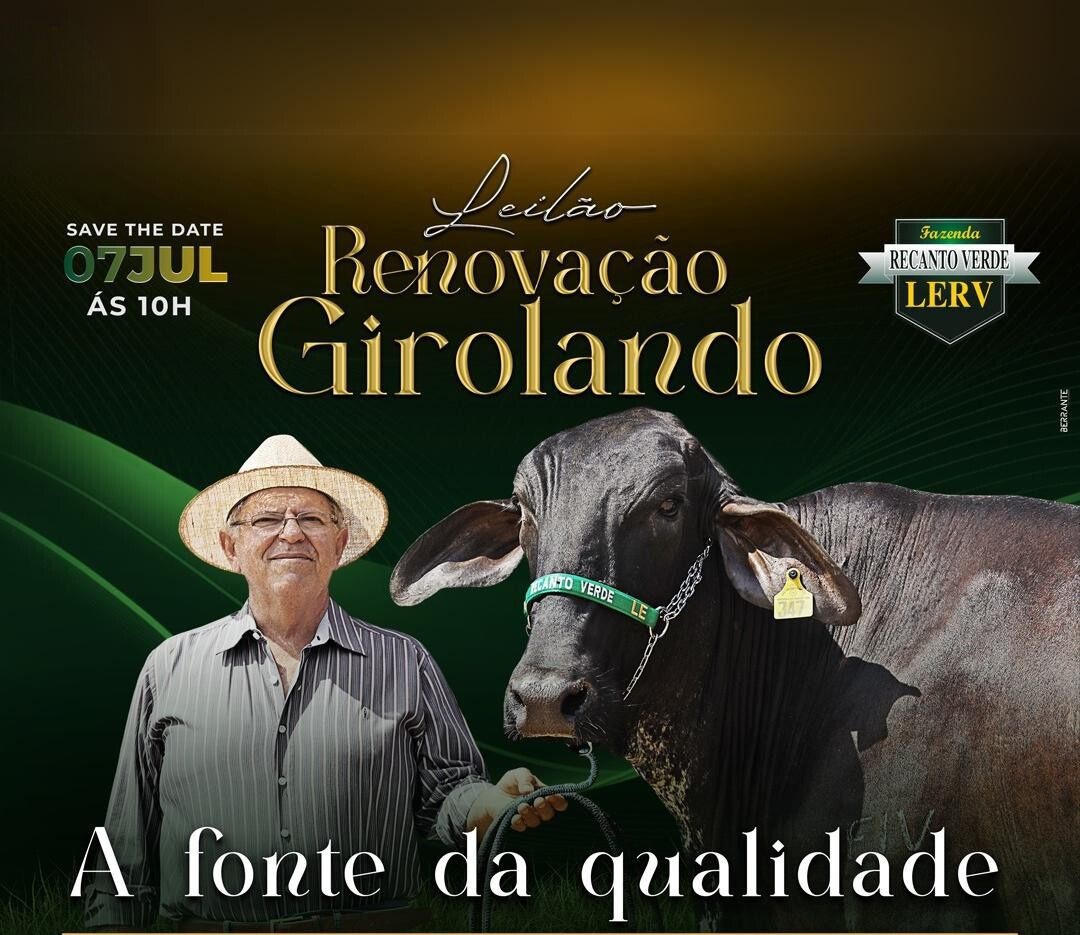 Acompanhe o Leilão Renovação Girolando