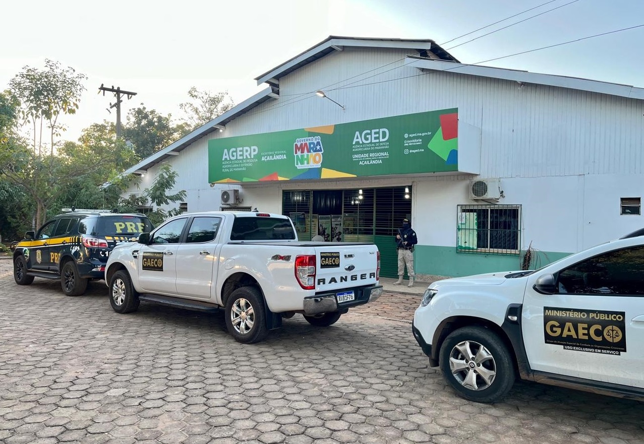 Rei do Gado: operação contra sonegação em venda de animais