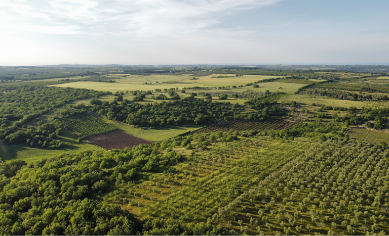 Crescimento recorde dos Fundos de Investimento do agro