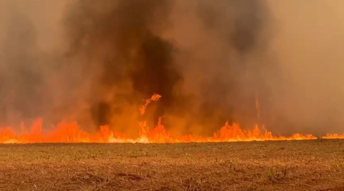 O agronegócio e as queimadas