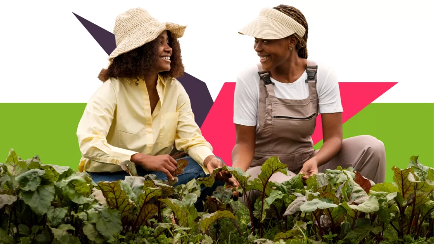 Programa de capacitação impacta 130 produtoras rurais no Brasil