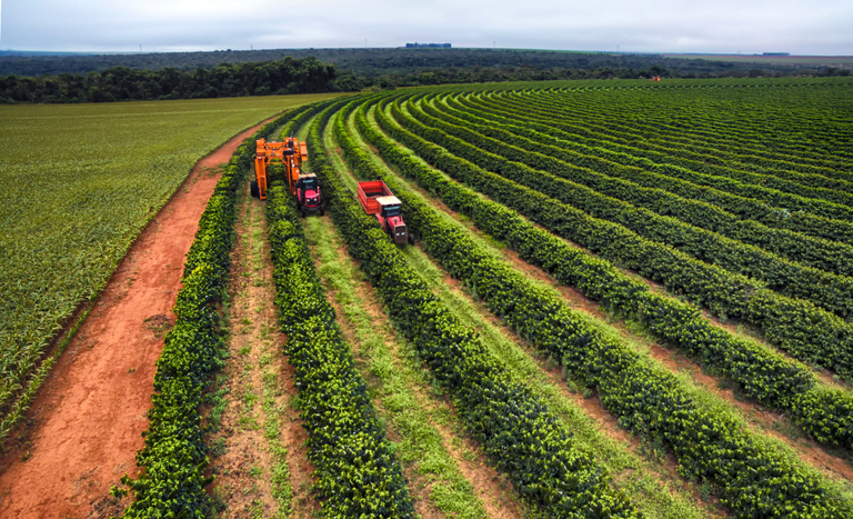 Plataforma unifica dados e promete mais lucro no campo