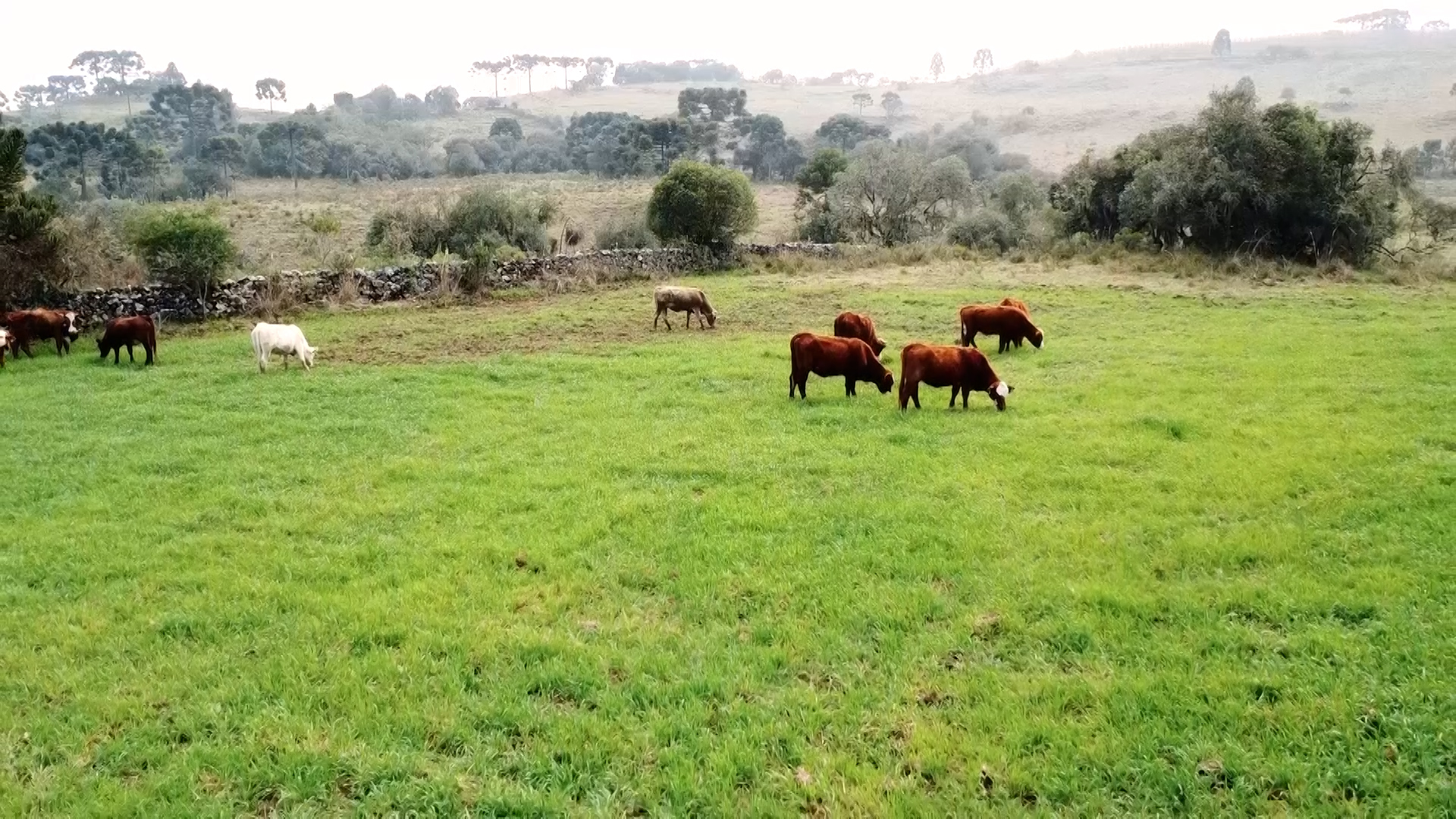 Títulos do agronegócio crescem e atingem R$ 1,2 Trilhão