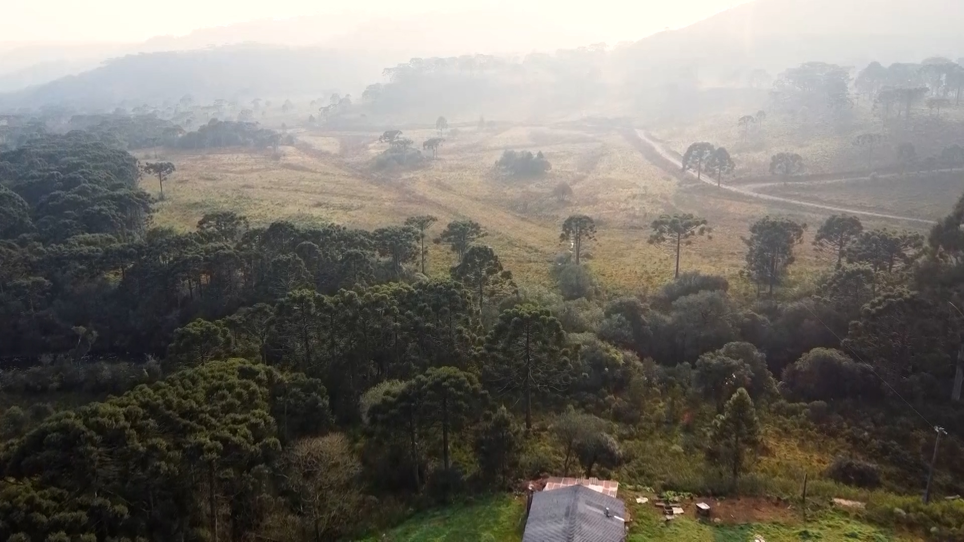 Inovação para a Sustentabilidade Agrícola é destaque em evento