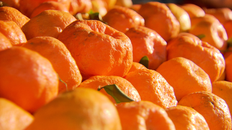 Mexerica, tangerina ou bergamota – uma fruta versátil com potencial sustentável