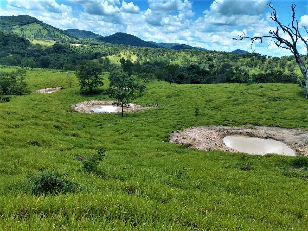 Técnicas da Emater-MG ajudam produtores a enfrentar a estiagem