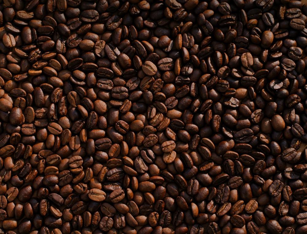 SP lança programa para incentivar produção de Café Canephora