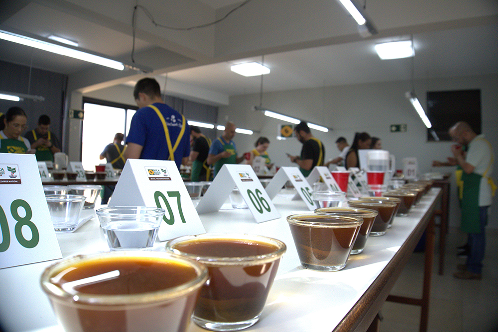 Café brasileiro – 40 amostras disputam prêmio internacional de qualidade