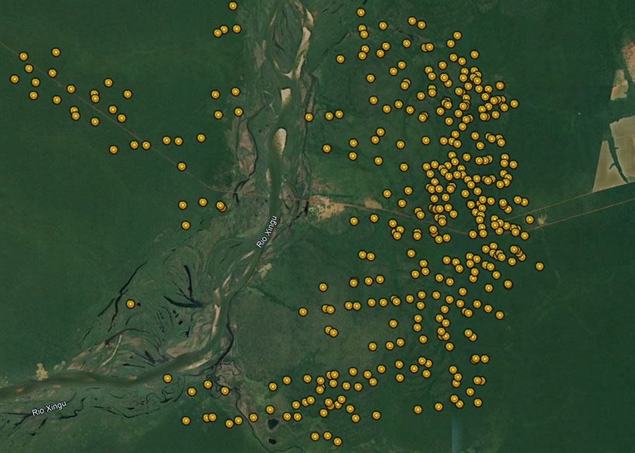 Recorde de queimadas atinge áreas florestais em 2024