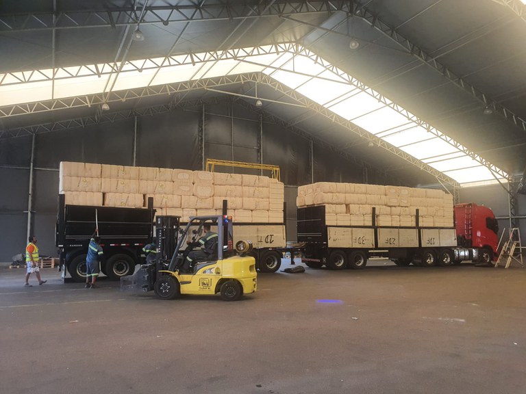 Primeira inspeção de algodão para exportação à Ásia ocorre em Jundiaí