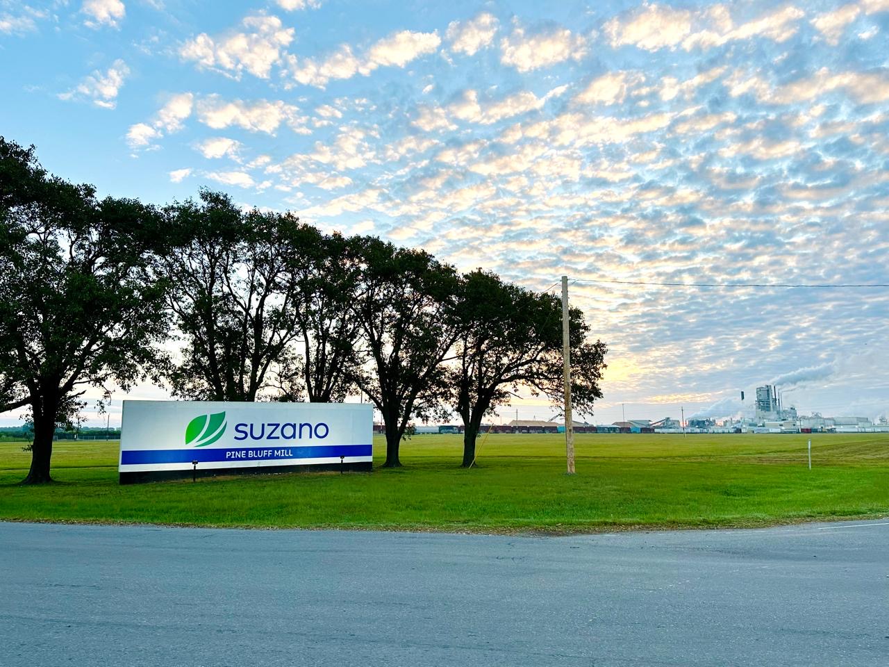 Suzano registra lucro de R$ 3,2 bilhões no 3º trimestre