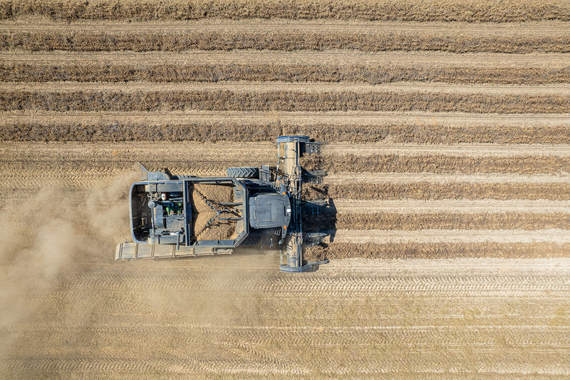 Produtores de amendoim vão conhecer sistema americano de plantação