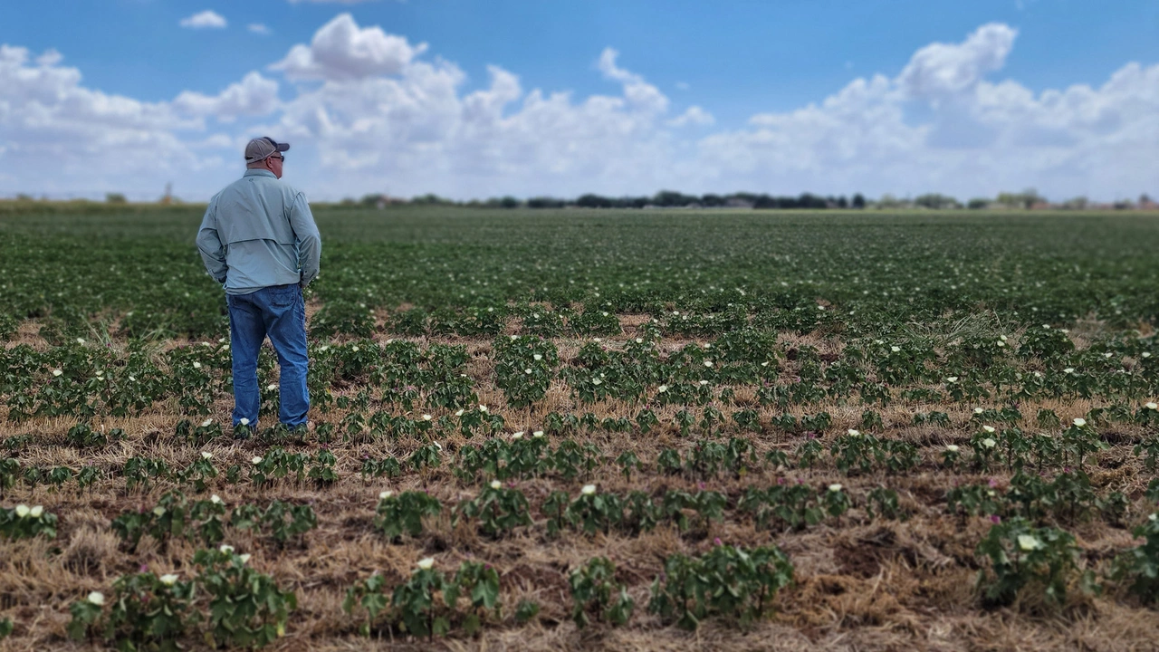 Mudança climática é a principal preocupação de agricultores