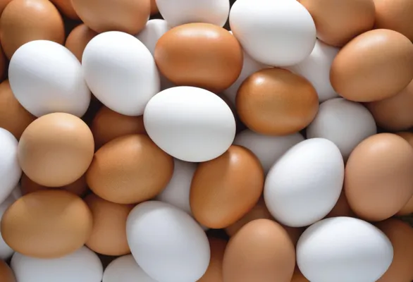 Dia Mundial do Ovo: Brasil produz 1800 ovos por segundo