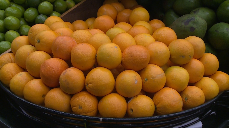 Calor extremo ameaça produção de laranjas e limões