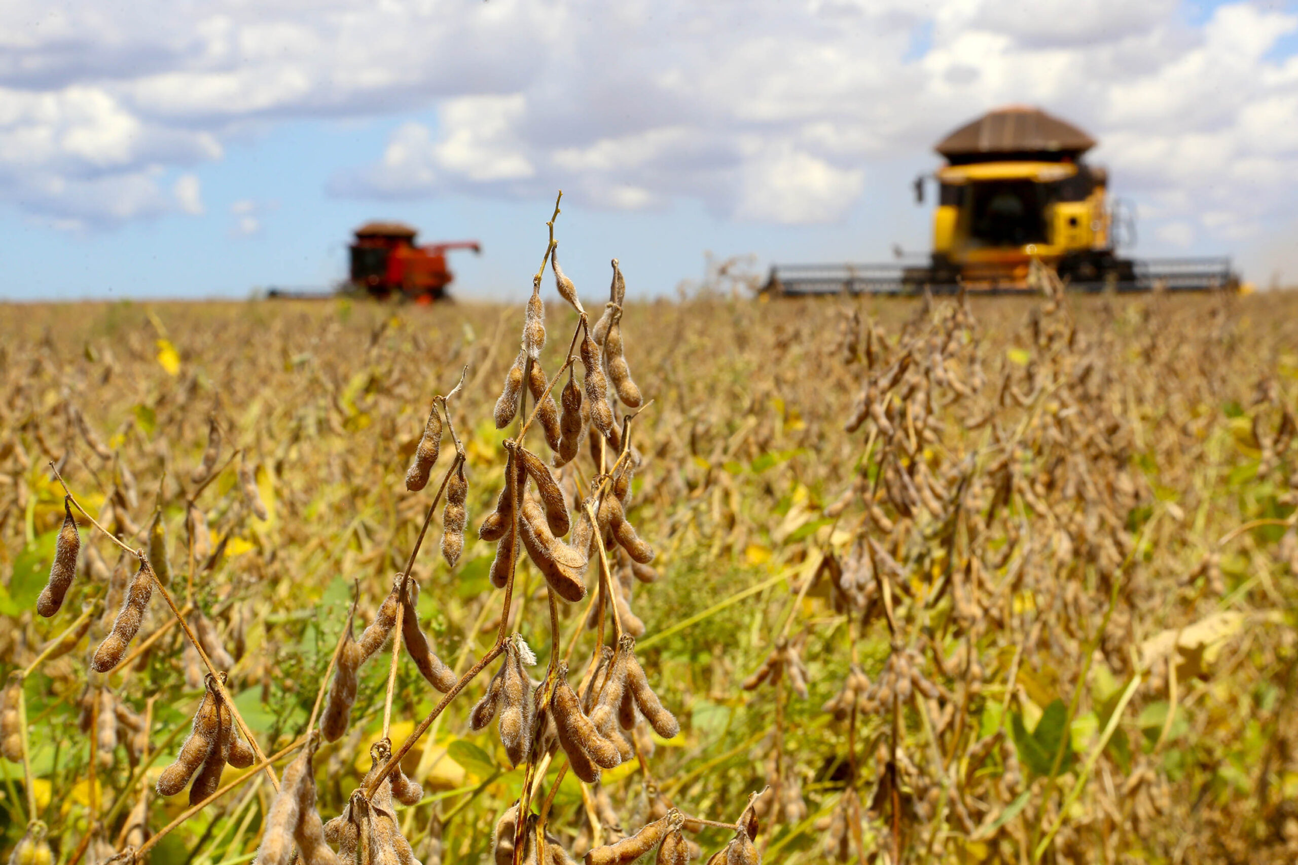 Indústria do biodiesel deve crescer e amenizar queda da cadeia da soja