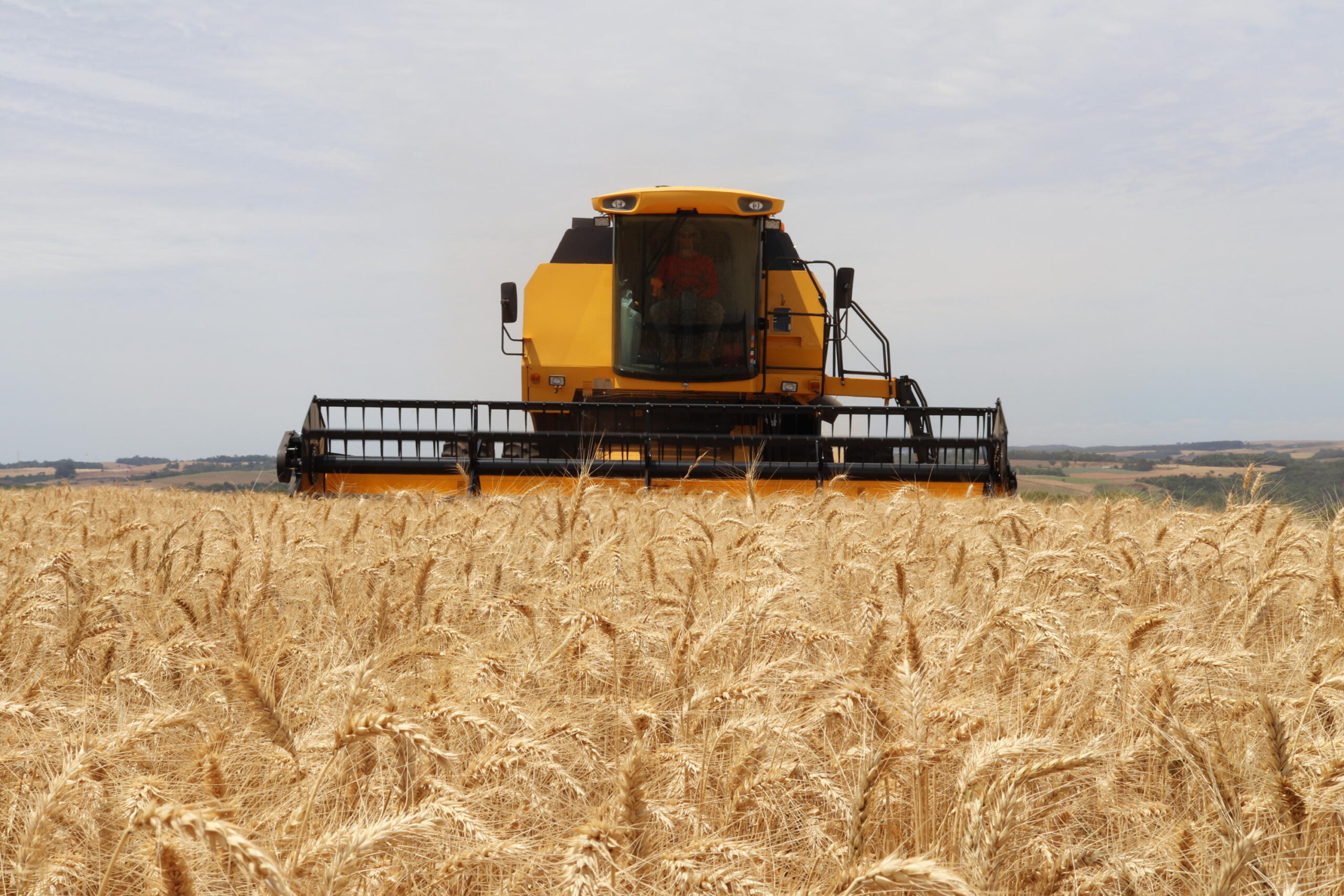 PIB do agronegócio recua 3,5% no acumulado de 2024