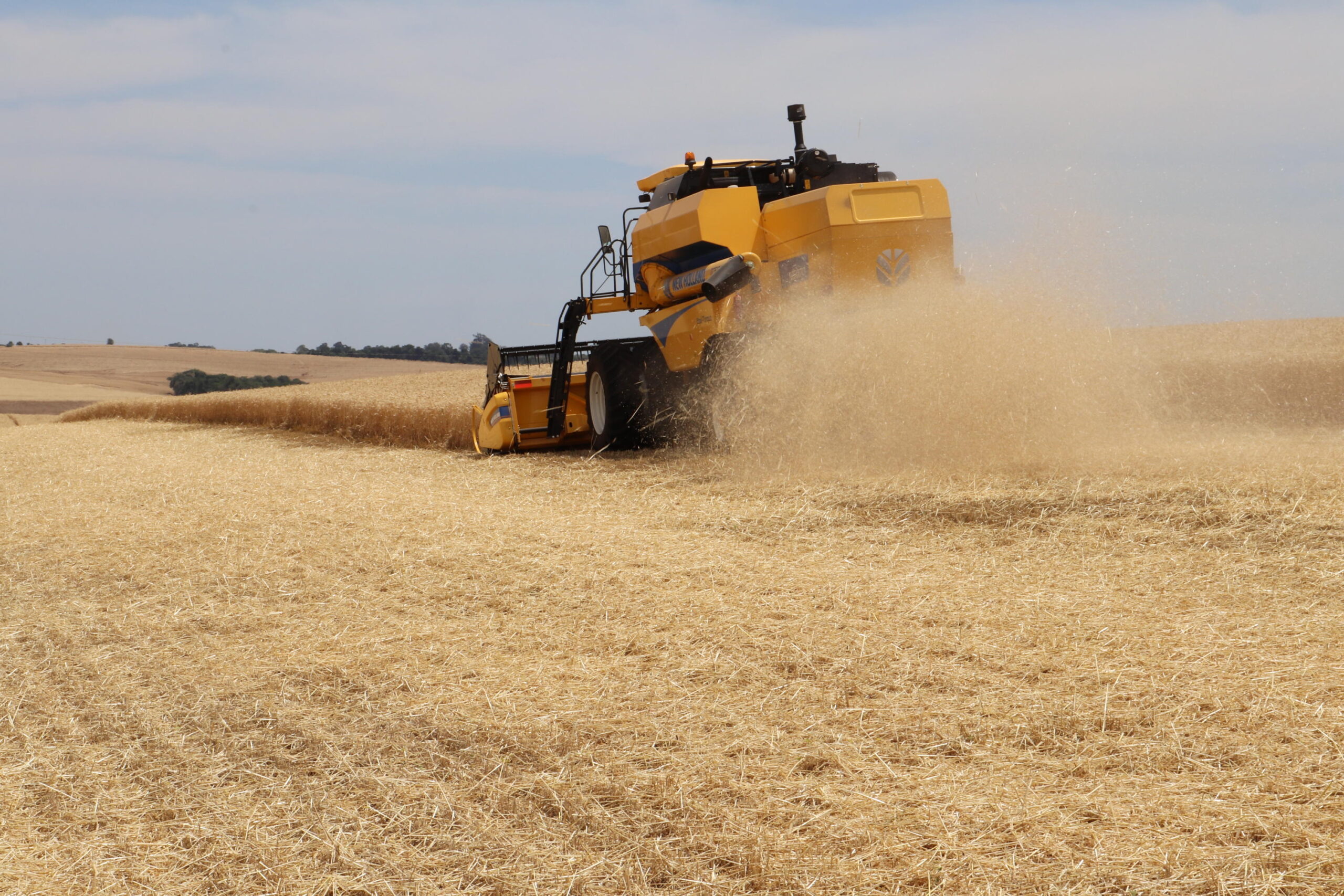 Restrições a defensivos químicos ameaçam agricultura  na Europa, aponta especialista