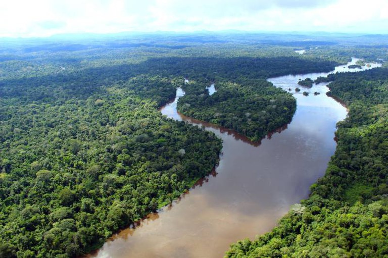 Projeto prevê dedução no IR para doações ambientais e climáticas