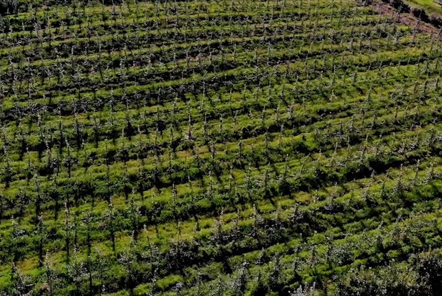 Atenção: Projeto de Lei altera índices de produtividade da terra