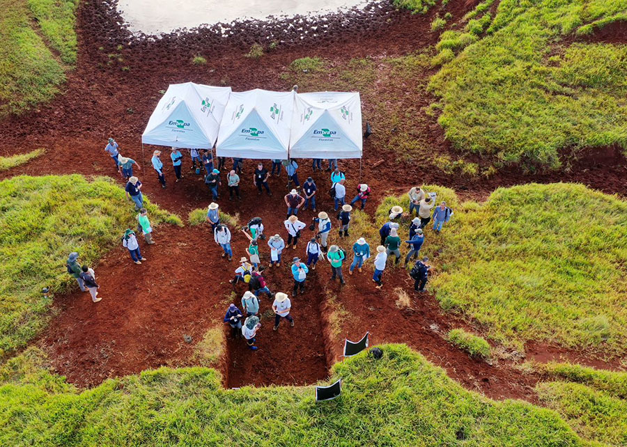 Estudo aponta cenário preocupante em áreas rurais do Paraná